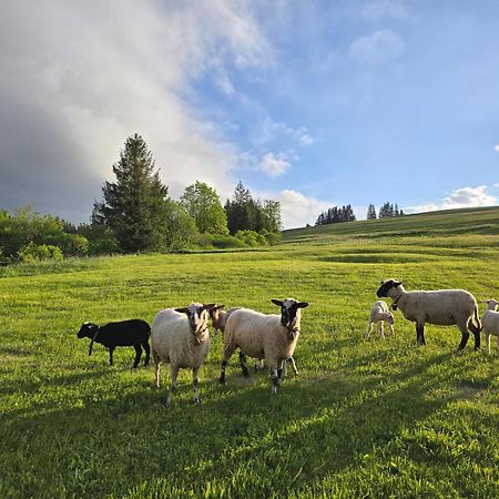 Palčovka Huty - apartmán U Ondry Esterno foto